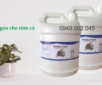 Herbaliv Forte - Bổ gan thảo dược cao cấp cho thủy sản