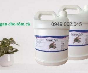 Herbaliv Forte - Bổ gan thảo dược cao cấp cho thủy sản
