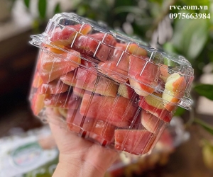 Cung cấp giá sỉ hộp nhựa trái cây 1kg P1000B trên toàn quốc 