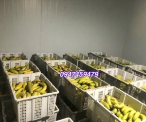 (0947 459 479) Lắp đặt kho lạnh trữ trái cây, củ quả Tại Long AN