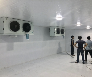 0947459479 Lắp đặt kho lạnh trữ thịt bò Tại Gia Lai