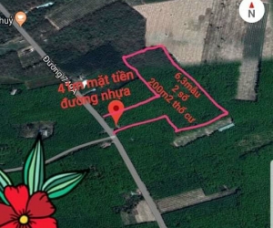 Bán đất Lộc Ninh.Diện tích: 6.3 Ha.Đất Cảnh Lộc Ninh (Có 200m2 Ong