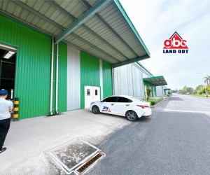 XT429 Cho Thuê nhà xưởng kiên cố, phục vụ linh hoạt nhiều ngành