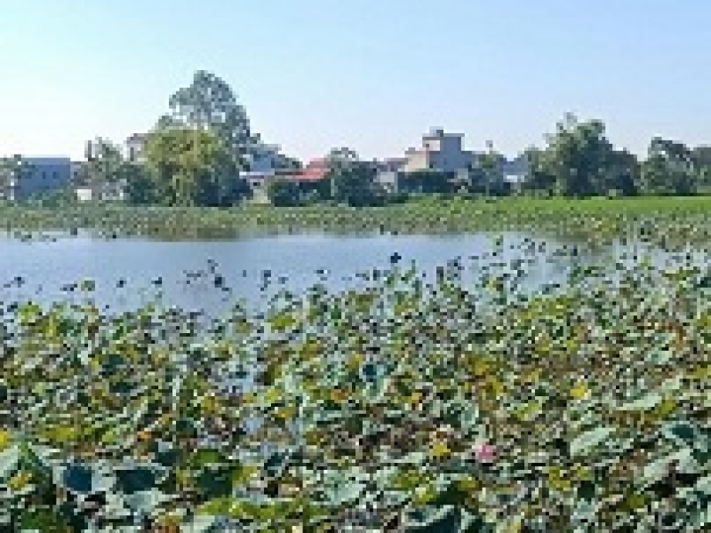 CƠ HỘI HIẾM – ĐẤT ĐẸP GIÁ RẺ HƠN 10% Vị trí vàng ngay Cụm Công