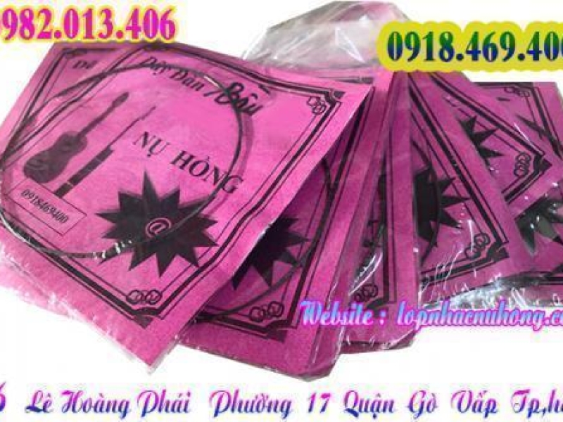Chỗ bán dây đàn bầu tại gò vấp, tphcm 