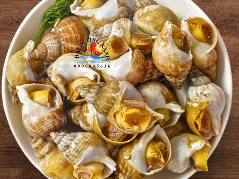 ốc bulot Pháp tươi ngon