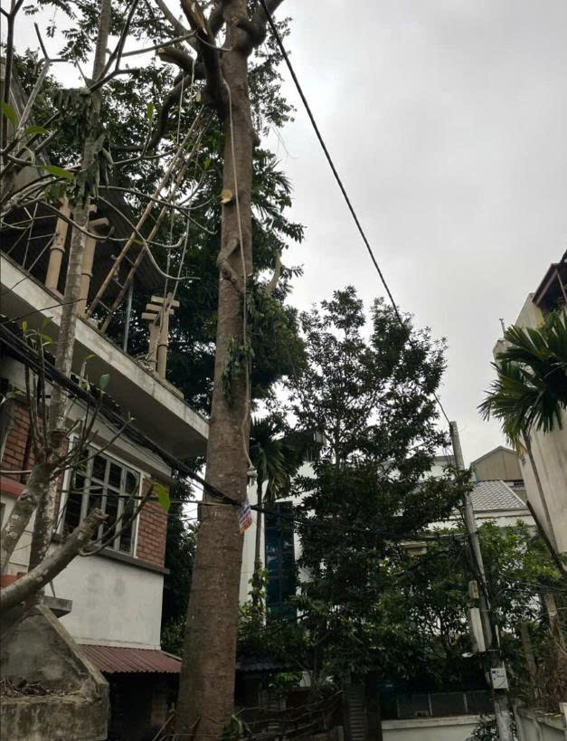 Cho thuê căn studio tầng 2 trong nhà biệt thự ngõ 488 Ngọc Thụy,