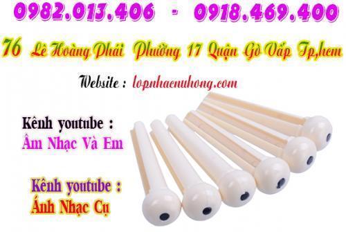 Địa chỉ chỗ bán chốt chặn dây đàn guitar tại gò vấp, tphcm