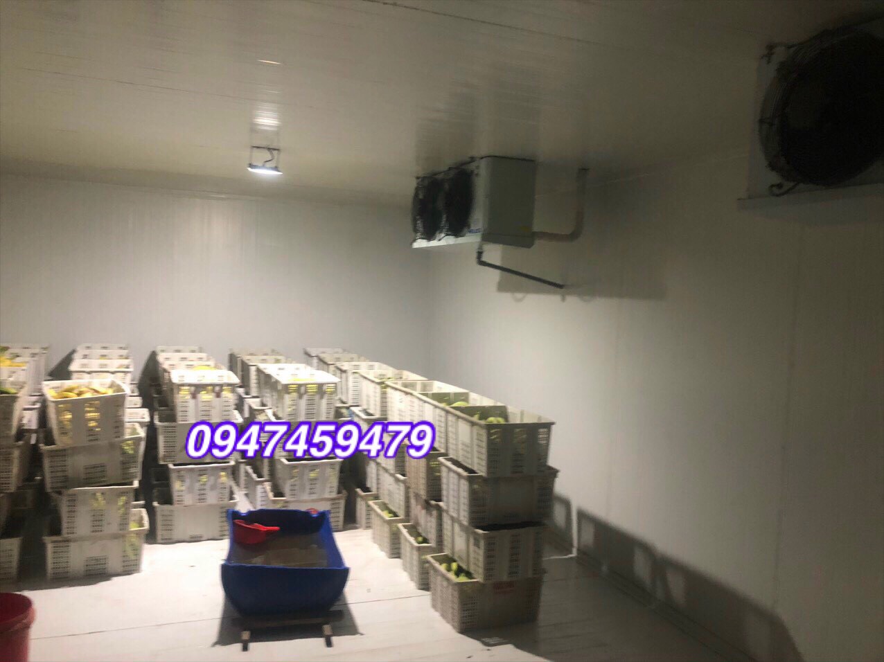 Cung cấp kho lạnh trữ trái cây, kho lạnh bảo quản chuối