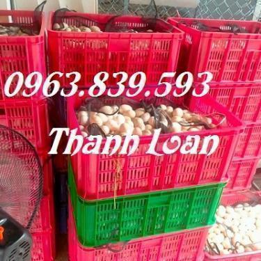 Sóng nhựa hở 3T9 đựng trái cây./ 0963.839.593 Ms.Loan