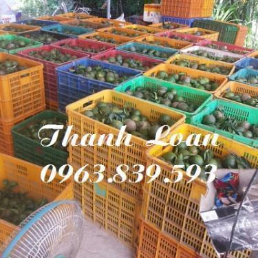 Sóng nhựa hở 3T9 đựng trái cây./ 0963.839.593 Ms.Loan