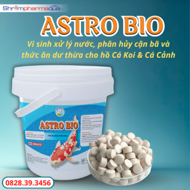Vi sinh viên xử lý nước, vi sinh cho cá Koi, cá cảnh