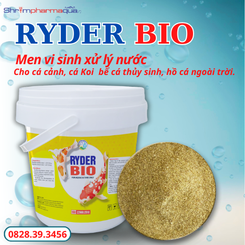 Vi sinh viên xử lý nước, vi sinh cho cá Koi, cá cảnh