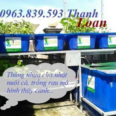 Bán thùng nhựa 750L nuôi cá Koi cảnh 0963.839.593 Ms.Loan