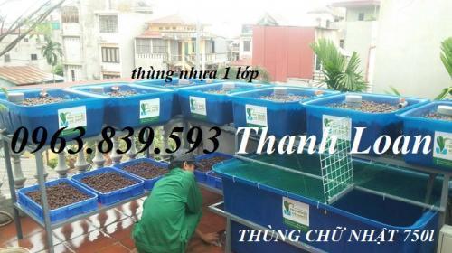 Bán thùng nhựa 750L nuôi cá Koi cảnh 0963.839.593 Ms.Loan