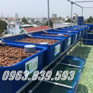 Bán thùng nhựa 750L nuôi cá Koi cảnh 0963.839.593 Ms.Loan