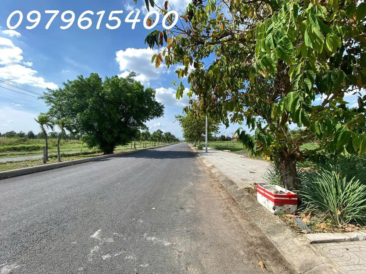 BÁN GẤP ĐẤT THỔ CƯ AN HẠ, BÌNH CHÁNH: SỔ ĐỎ TRAO TAY, DIỆN TÍCH