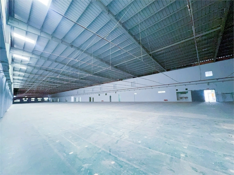 XT509 Cho Thuê Nhà Xưởng sản xuất. khung thép tiền chế , giao xưởng