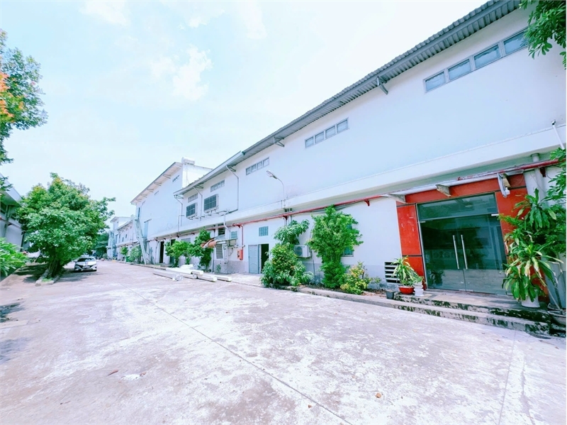 XT509 Cho Thuê Nhà Xưởng sản xuất. khung thép tiền chế , giao xưởng